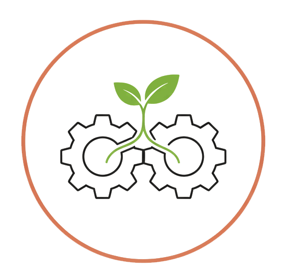 Step 2: We Cultivate & Innovate
