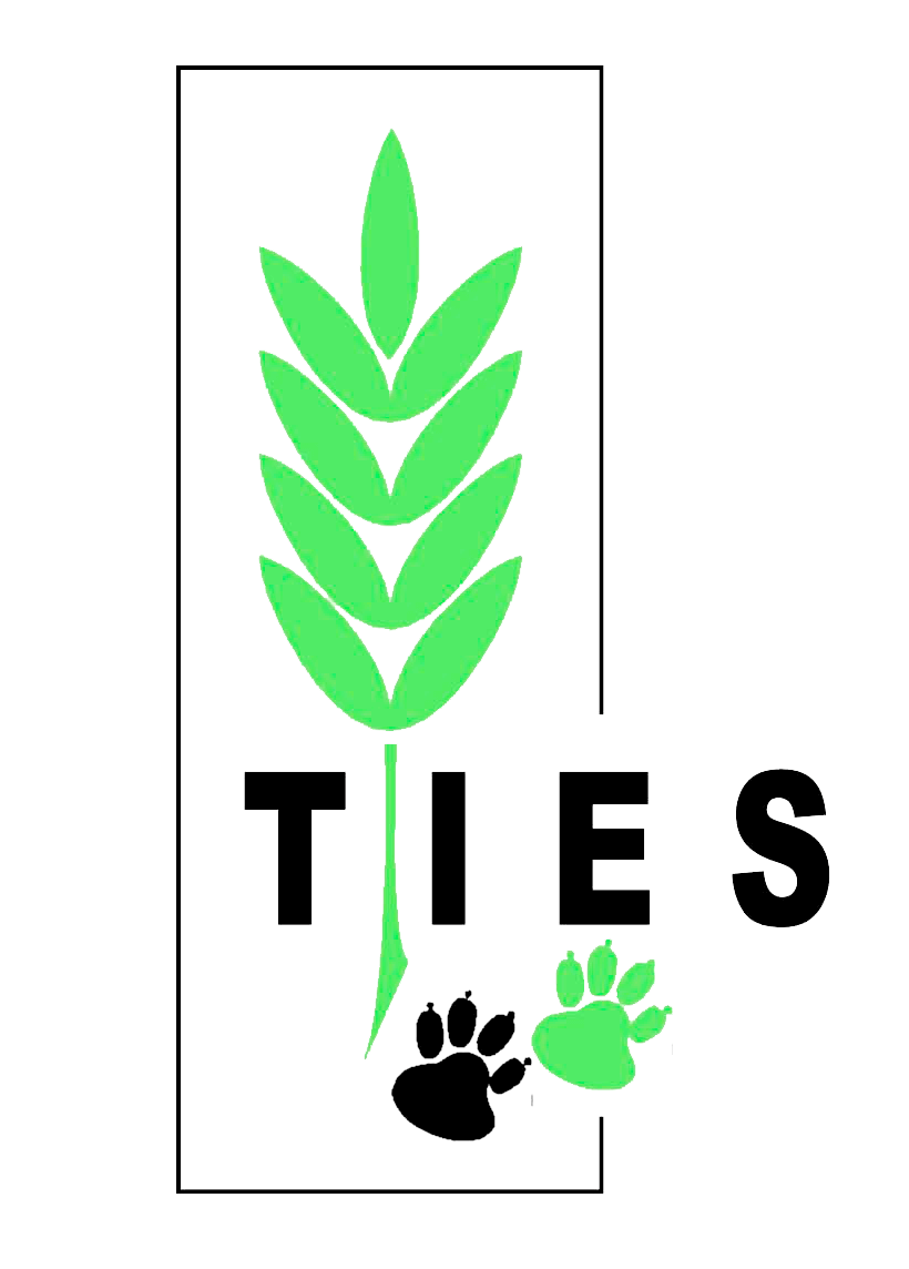 TIES Logo