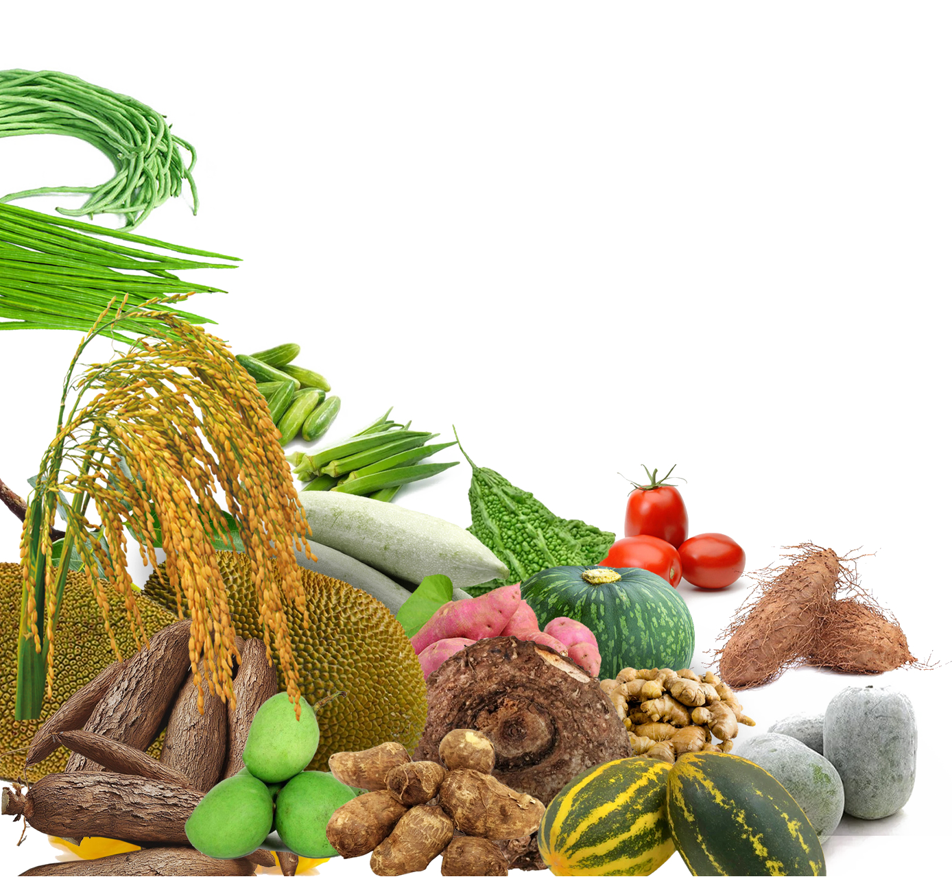 Vegetables